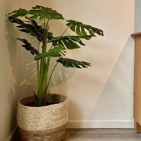 De Fruithof דירה *