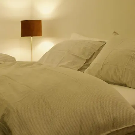 아파트 De Fruithof