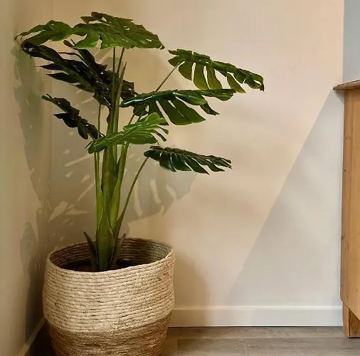 De Fruithof 아파트 *